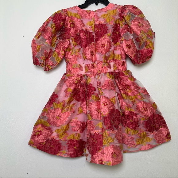 NWT Billy J V-Neckline Floral Puff Sleeve  Abel Mini Dress - Picture 3 of 16